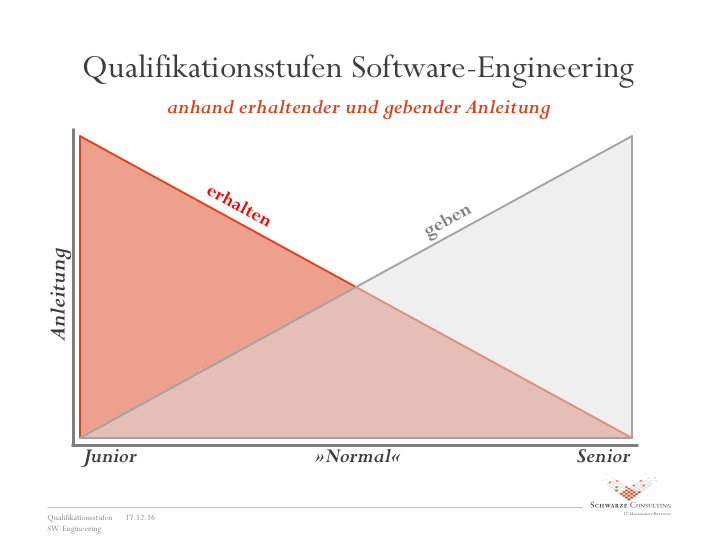 SW-Engineer